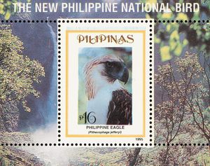 Philippine Eagle (Pithecophaga jefferyi)